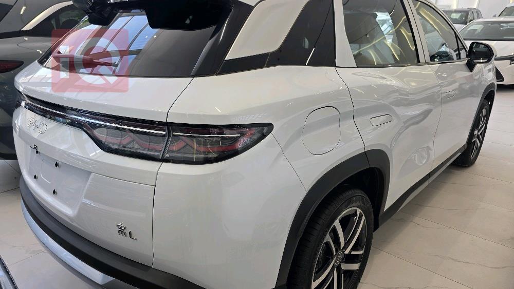 بي واي دي سونغ L DM-i